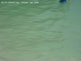 20090420 Phi Phi Island - Maya Bay- Koh Khai  75 of 182 
